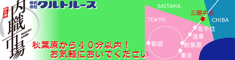 naisyoku